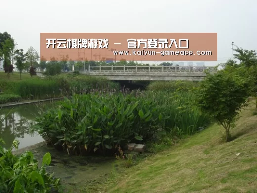 案例展示四