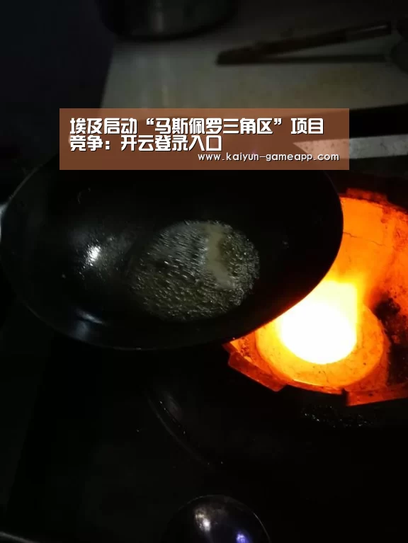 埃及启动“马斯佩罗三角区”项目竞争:开云登录入口(图4) 开云登录入口